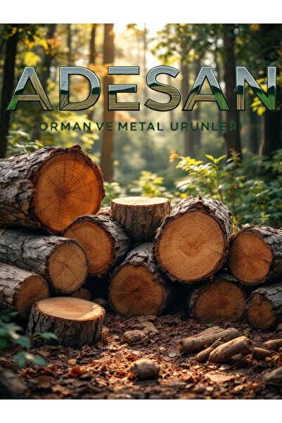 Çakır Home Doğal Ahşap Duvar Saksı Askısı 3'lü Set | Sarmaşık ve Çiçek Askılığı | Balkon Dekorasyonu | Saksılık