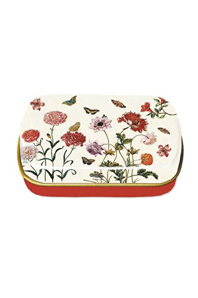 Fridolin Maria Sibylla Merian metal box, Fridolin, varied kids collection