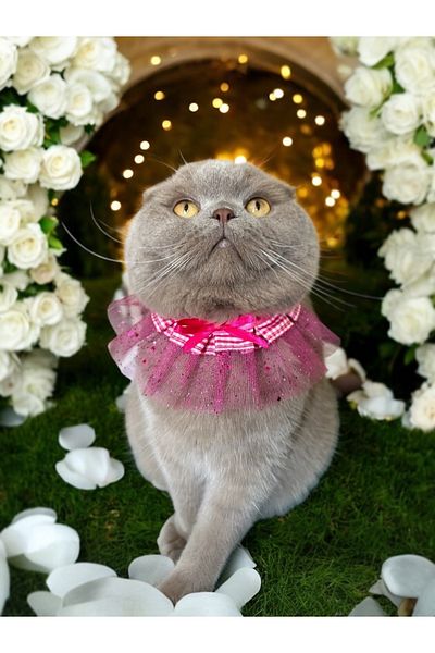 THE İLKİN TOKA Pink Tulle Gingham Patterned Design Cat Collar and Small Breed Dog Collar