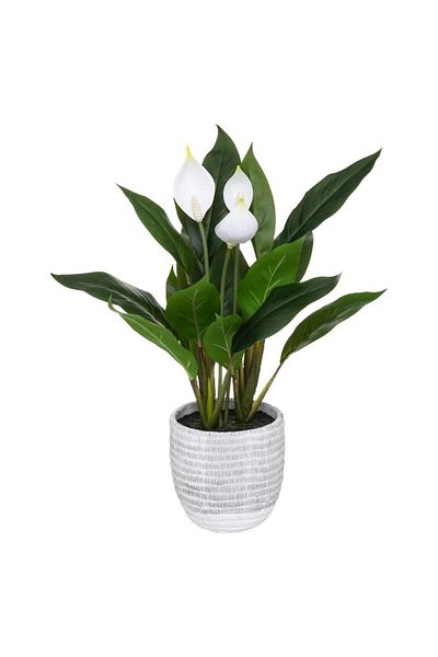 Atmosphera Peace Lily Artificial Plant W/Pot (30 x 30 x 54 cm)