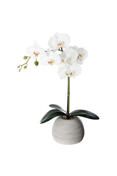 Own Artificial Orchid Plant W/Cement Pot (34 x 16 x 52.5 cm)