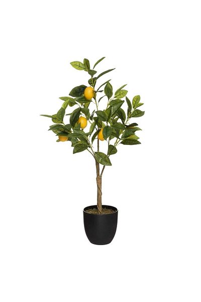 Own Artificial Lemon Tree W/Pot (43 x 43 x 73 cm)