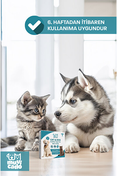 muvicado İc Dis Parazit Kedi Pire Kene Damlası Köpek İç Dış Damla Kedi Dış Parazıt Pire Önleyici