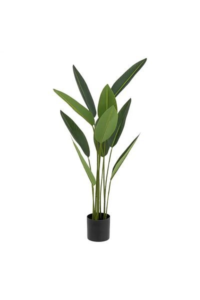 Atmosphera Tropical Boudoir Strelitzia with Plastic Pot (H. 97 cm)
