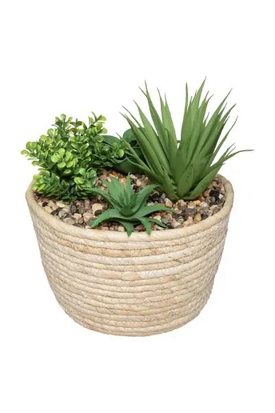Atmosphera Hacienda Plant Arrangement with Natural Pot (D. 17 x H. 19 cm)
