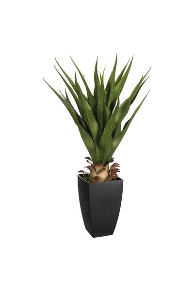 Own Artificial Agave Plant W/Pot (56 x 54 x 71 cm)
