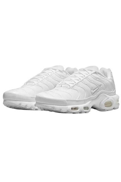 Nike Air Max Plus – Men’s Running Shoes with Air Cushioning and Mesh Upper