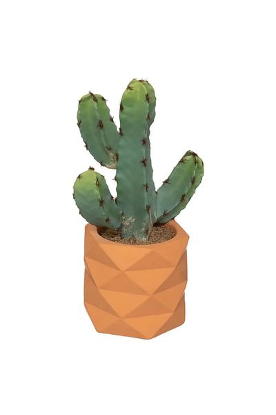 Atmosphera Cactus with Terracotta Effect Ceramic Pot (H. 24 cm)