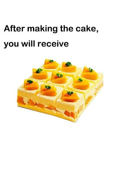 Saharaz Square Cake Box,with Plastic Dividers,Food Grade Safety Material,for Dessert Candy Storage,31cm