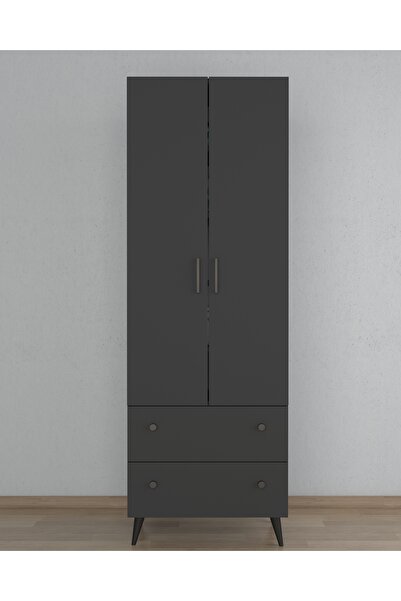 ESYAH Antrasit 2 Kapaklı 2 Çekmeceli Çok Amaçlı Dolap