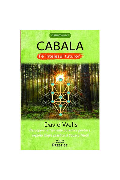 Prestige Kabbalah - In the Understanding of Everyone - David Wells