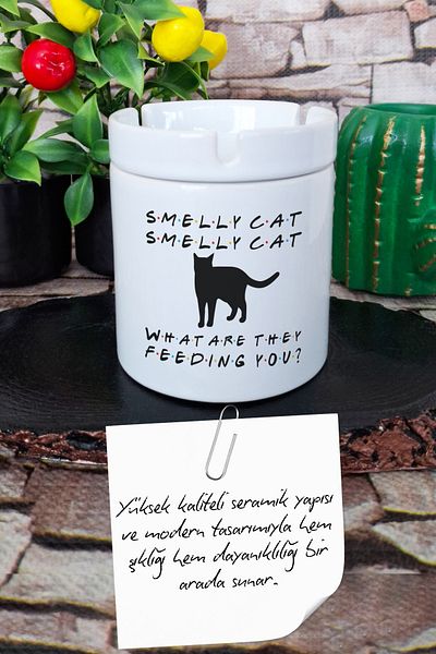 qoeuyl boutique Smelly Cat Phoebe Buffay Friends Printed Ceramic Lid Odorless Ashtray