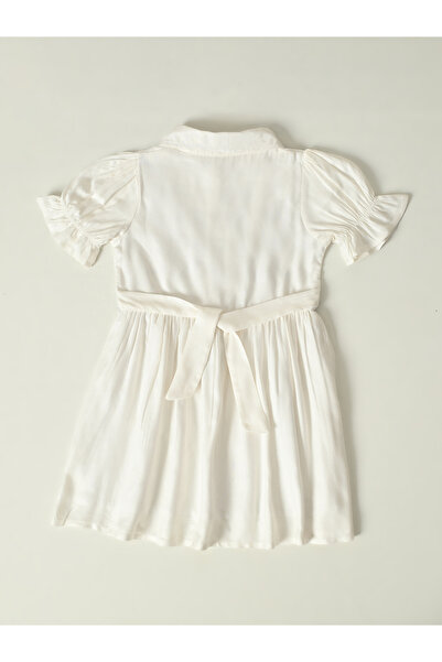 Bella Moda By Styli Embroidered Puff Sleeve Knee-Length Dress