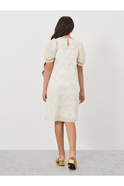 Styli Lace Detail Puff Sleeve Midi Dress