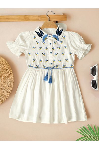 Bella Moda By Styli Embroidered Puff Sleeve Knee-Length Dress