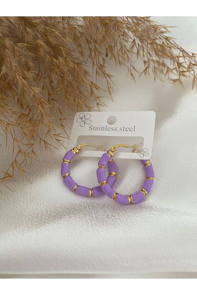 stainless steell Colorful ring steel earrings