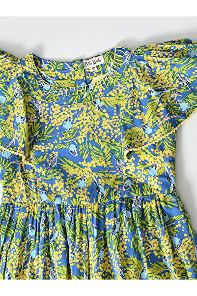 Bella Moda By Styli All-Over Floral Print Flutter Sleeves Dress with Lace Trim