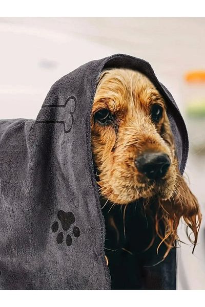 Mixpet Microfiber Quick Drying Pet Towel 60X100 cm