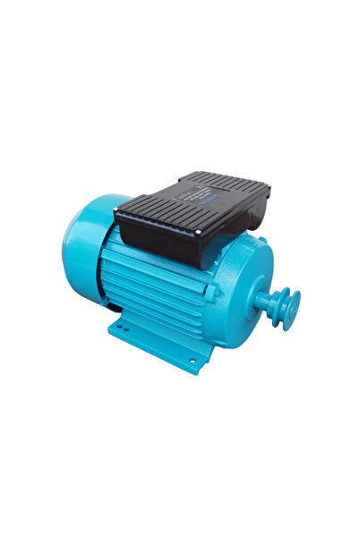 COBI SMART® Motor electric monofazat, 3 kW, 3000 rpm, bobinaj cupru, protectie la suprasarcina, fulie inclusa