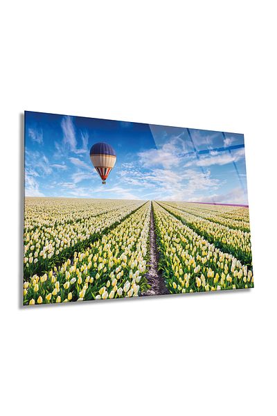 Rosyvien Peisaj de balon zburător în grădina de lalele, pictură pe sticlă orizontală, decor de perete pentru casă și birou, cadou de lux