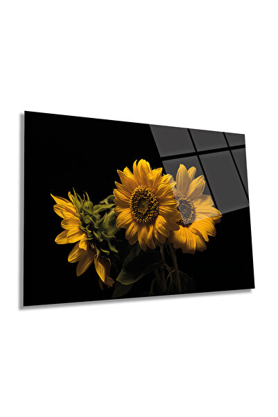 Rosyvien Κίτρινο ηλιοτρόπιο Οριζόντια Γυάλινη Πίνακας, Φύση, Διακόσμηση Τοίχω...