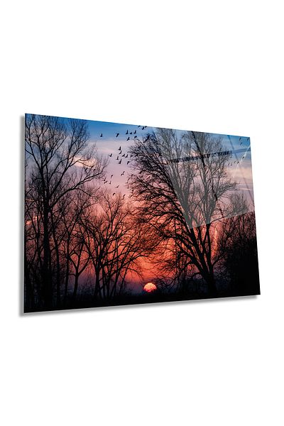 Rosyvien Tree Branches Landscape on Red Sunset Horizontal Glass Painting, Home and Office Wall Decor, Luxury Gift