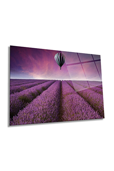 Rosyvien Ιπτάμενο μπαλόνι και οριζόντια ζωγραφική από γυαλί λεβάντας, διακόσμ...