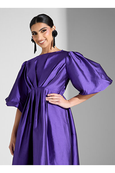 Sinoir Ruffle Sleeve Taffeta Dress