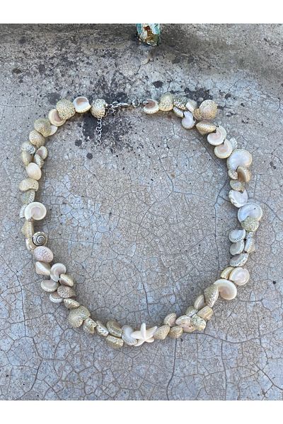 Stoneday Natural Seashell (Cat's Eye Shell) Star End Summer Necklace