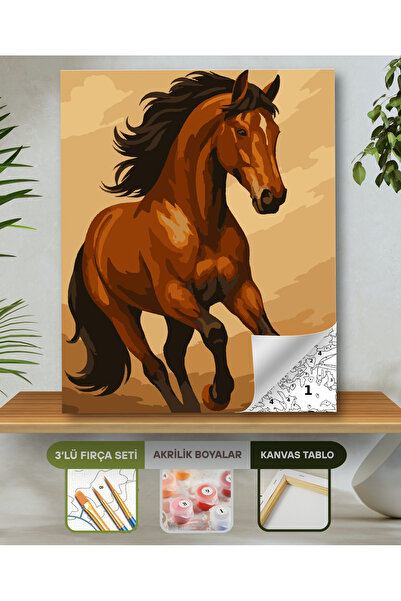 hediye hobim Sayılarla Boyama Seti 40x50 Cm (Çıtalı) Fırça Boya Dahil Numaral...