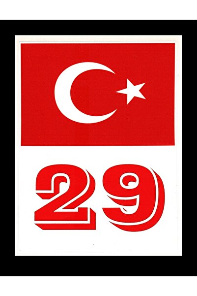 BsElektronik ملصق زجاج أمامي برمز لوحة ترخيص Gümüşhane 29 مع علم تركيا