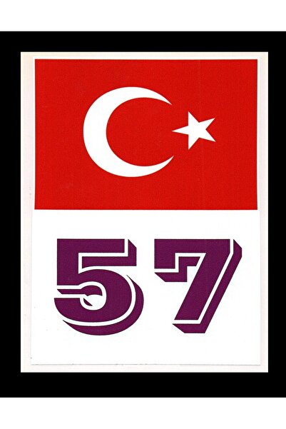 BsElektronik Türkiye Bayraklı Sinop 57 Plaka Kodu Ön Cam Sticker