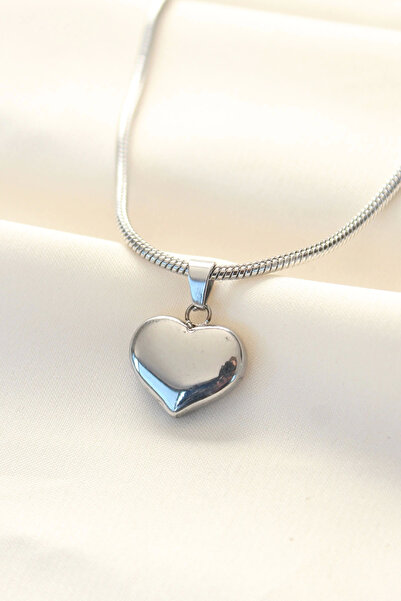 Belle Fusion BFS 316L قلادة على شكل قلب فضية اللون من الفولاذ