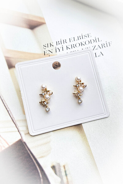 roshel Altın Kaplama Taşlı Sallantılı Küpe