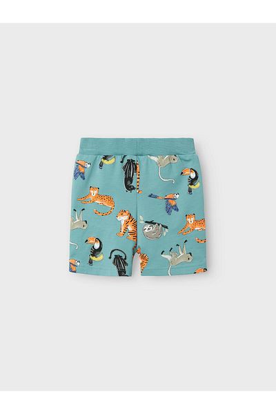 name ıt Shorts Blue