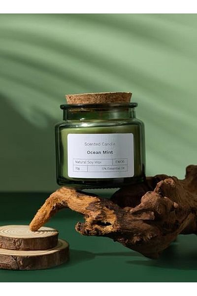 Generic L&wen Scented Candles, Long Lasting Strong Fragrance Aromatherapy Candles, 70g (OCEAN MINT)