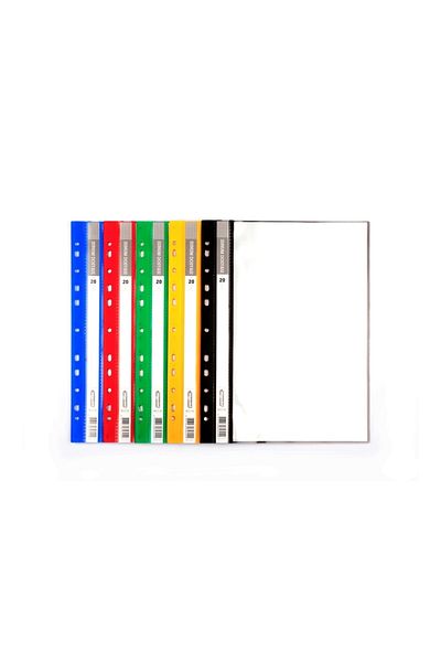 Bigpoint Presentation File, 20 Sheets, 5 Pack, A4, 5 Colors, Durable Pp
