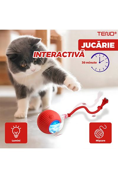 Teno Teno® Smart Interactive Cat Toy, indoor, with LED lights, stimulates animals, red