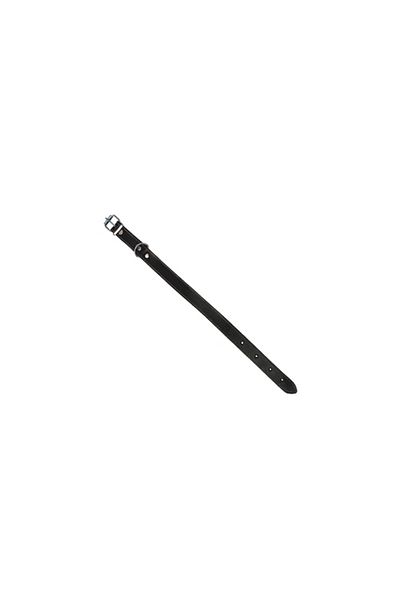 flores Zgarda caine din piele subtire, nr 210, 2.5 cm x 50 cm