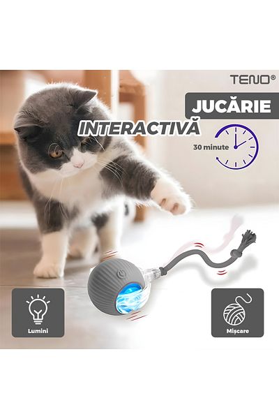 Teno Teno® Smart Interactive Cat Toy, Indoor, with LED Lights, Stimulates Animals, Gray