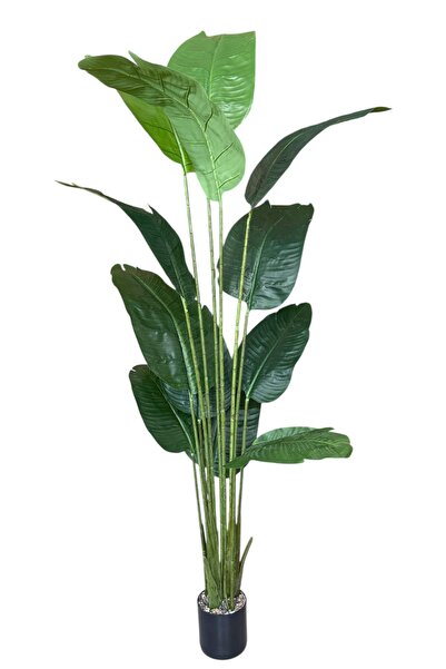 YAPAY ÇİÇEKÇİNİZ Yapay Ağaç Starliçe Gerçek Dokunuş 12 Büyük Yaprak Yeşil 180-185 Cm