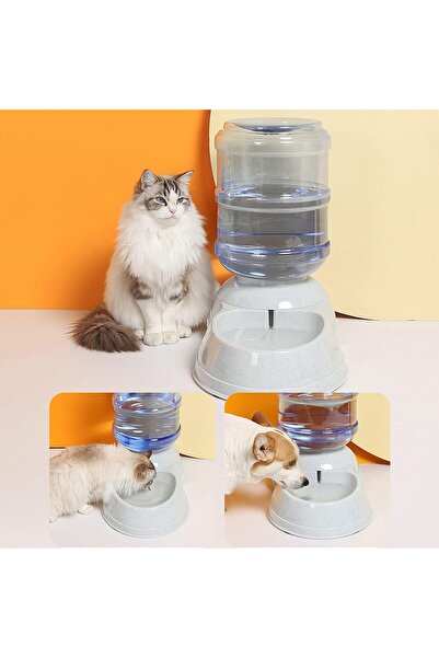 Generic Pet Water Dispenser Automatic for Large Dogs Cats