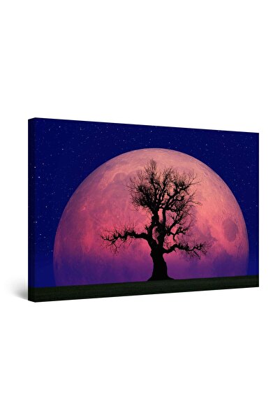 startonight Πίνακας DualView Startonight Μωβ Φεγγάρι και Δέντρο, 60 x 90 εκ.