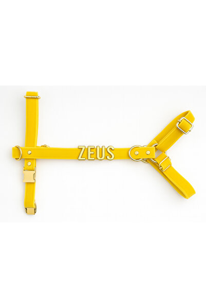 Pawsim Kişiye Özel Isimli H Model Ayarlanabilir Kadife Köpek Göğüs Tasması - XS-S-M-L+ Gezdirme Kayışı Set