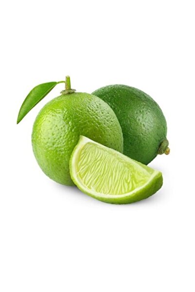 Genel Markalar Lime Yeşil Limon (misket Limon) 500 gr.