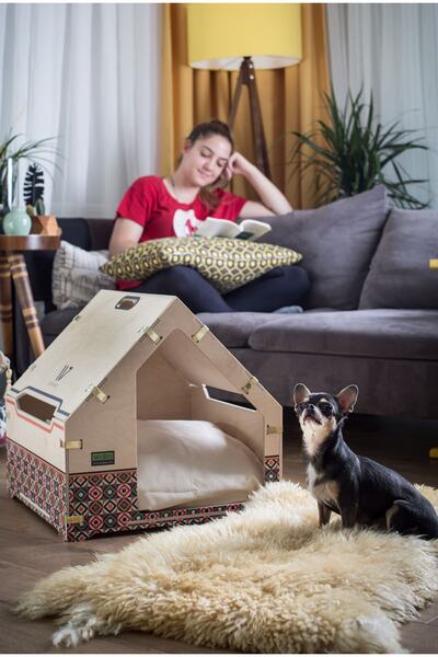 Wodiza Colorful Ahşap Köpek Kulübesi