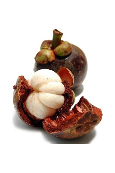 Mutlu Sebzeler Mangosten ( 2 Adet ) Paket