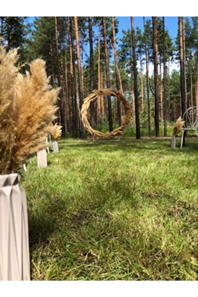 AYS 12 Adet Şoklanmış Pampas Kuru Çiçek Yeni Hasat