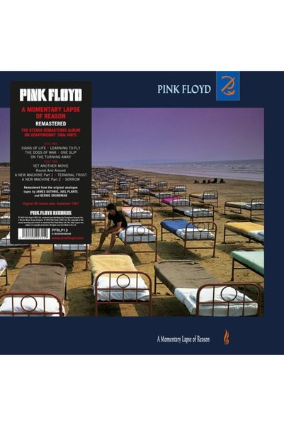 Yabancı - Pink Floyd / A Momentary Lapse Of Reason