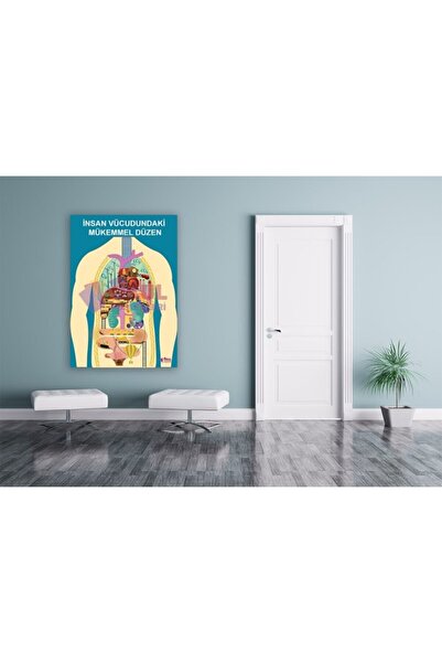 okul posterleri Insan Vücudundaki Mükemmel Düzen